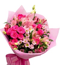Pink flowers.     . Belflower -    .     .