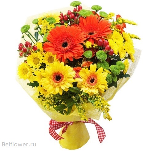 Рыжик. Отличный подарок для любимого человека. Belflower - Доставка цветов в Минске. Доставка в любую точку Беларуси.
