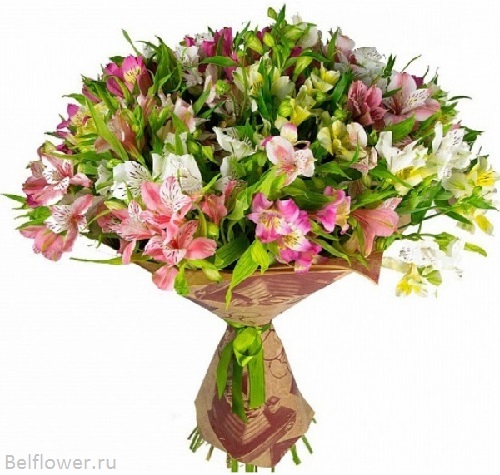 Моя Госпожа. Отличный подарок для любимого человека. Belflower - Доставка цветов в Минске. Доставка в любую точку Беларуси.