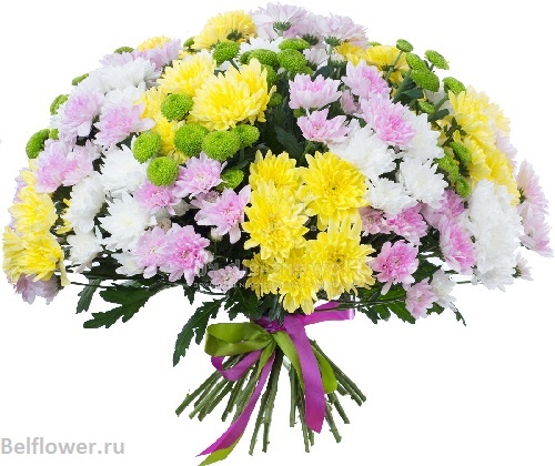 Солнышко лучистое. Отличный подарок для любимого человека. Belflower - Доставка цветов в Минске. Доставка в любую точку Беларуси.