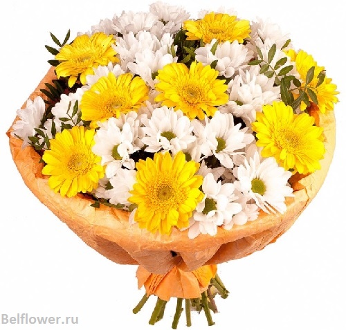 Злата. Отличный подарок для любимого человека. Belflower - Доставка цветов в Минске. Доставка в любую точку Беларуси.